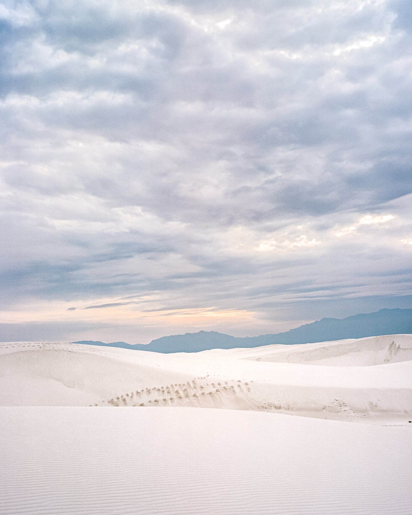 Footsteps Through Time