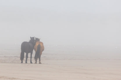 Bound by the Fog