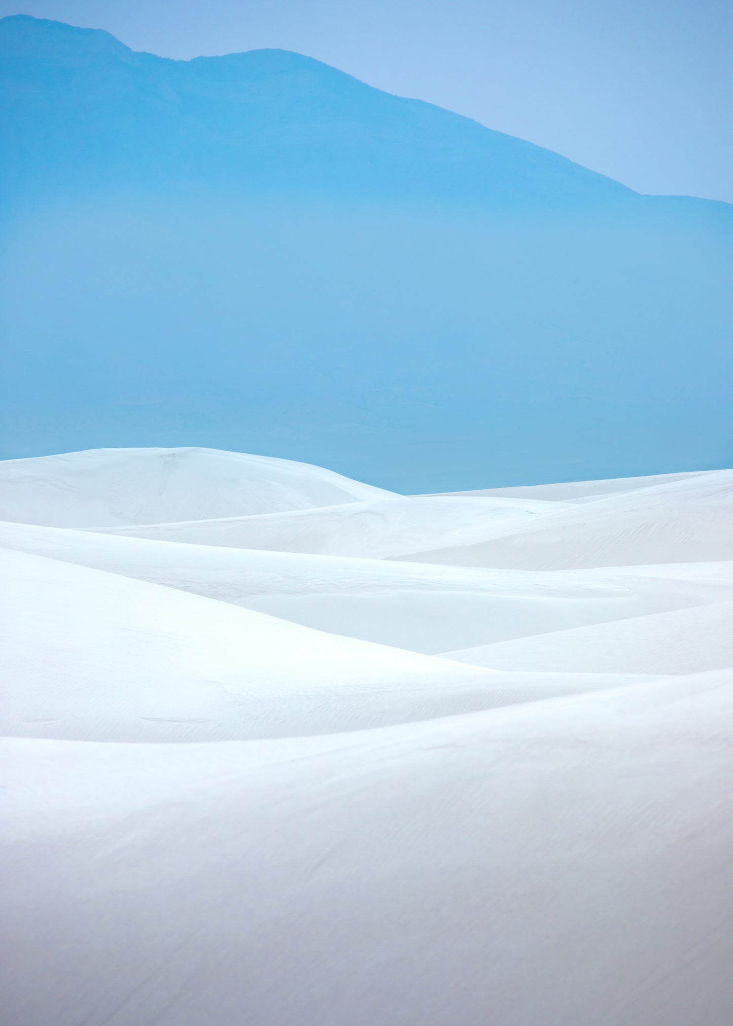 Ocean of Dunes