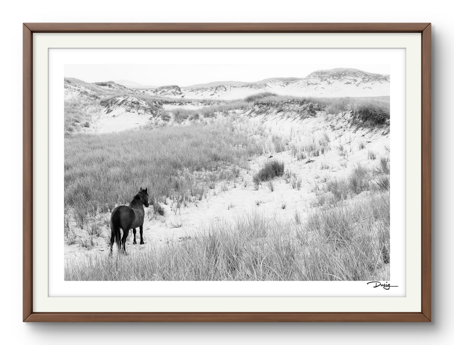 Into the Dunes