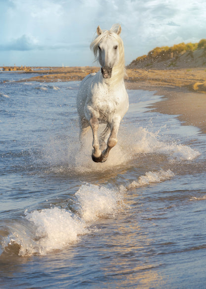 Camargue Spirit Unleashed