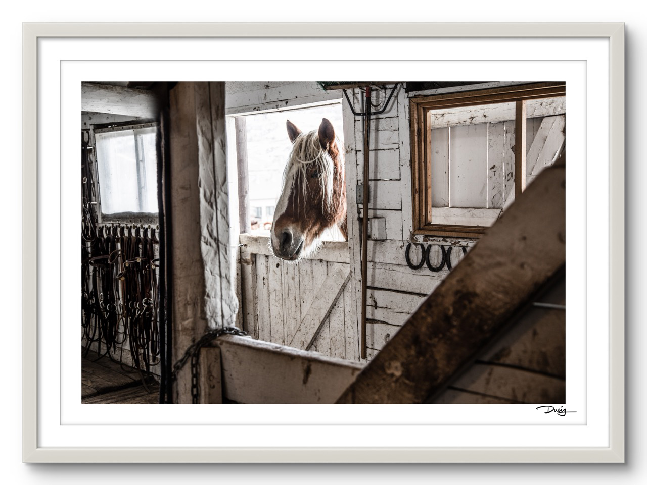 Tales of the Tack Room