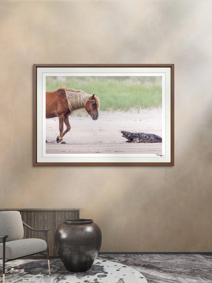 Sable Island Standoff