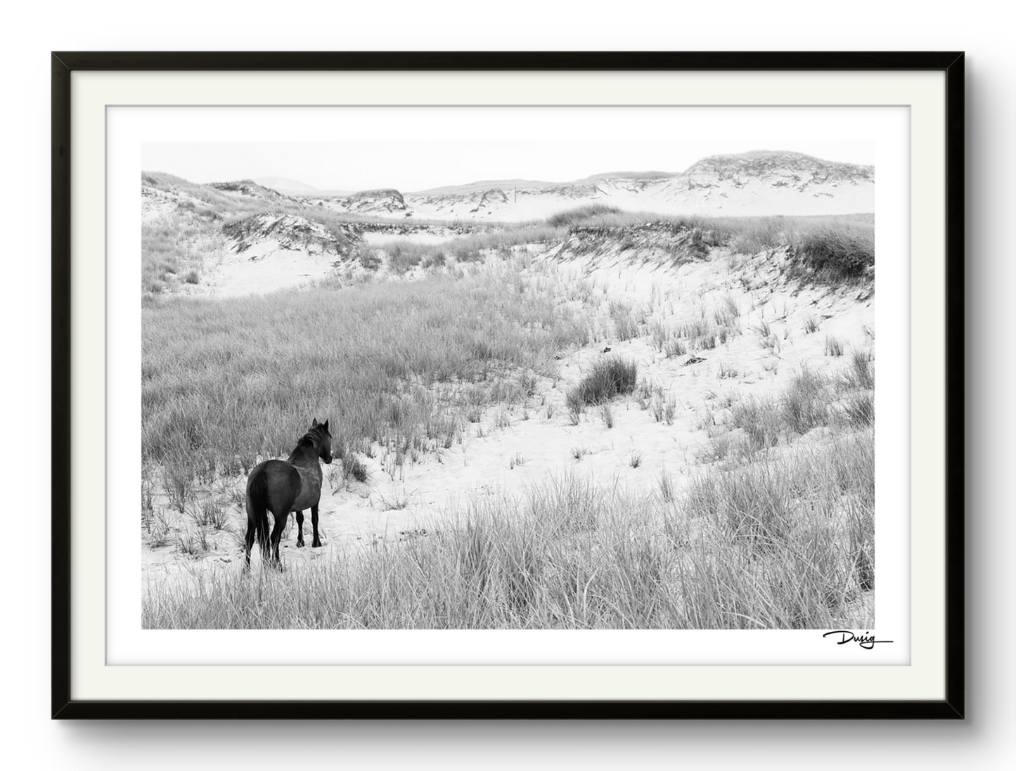 Into the Dunes