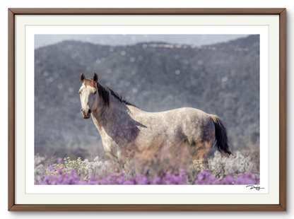 Among the Wildflowers