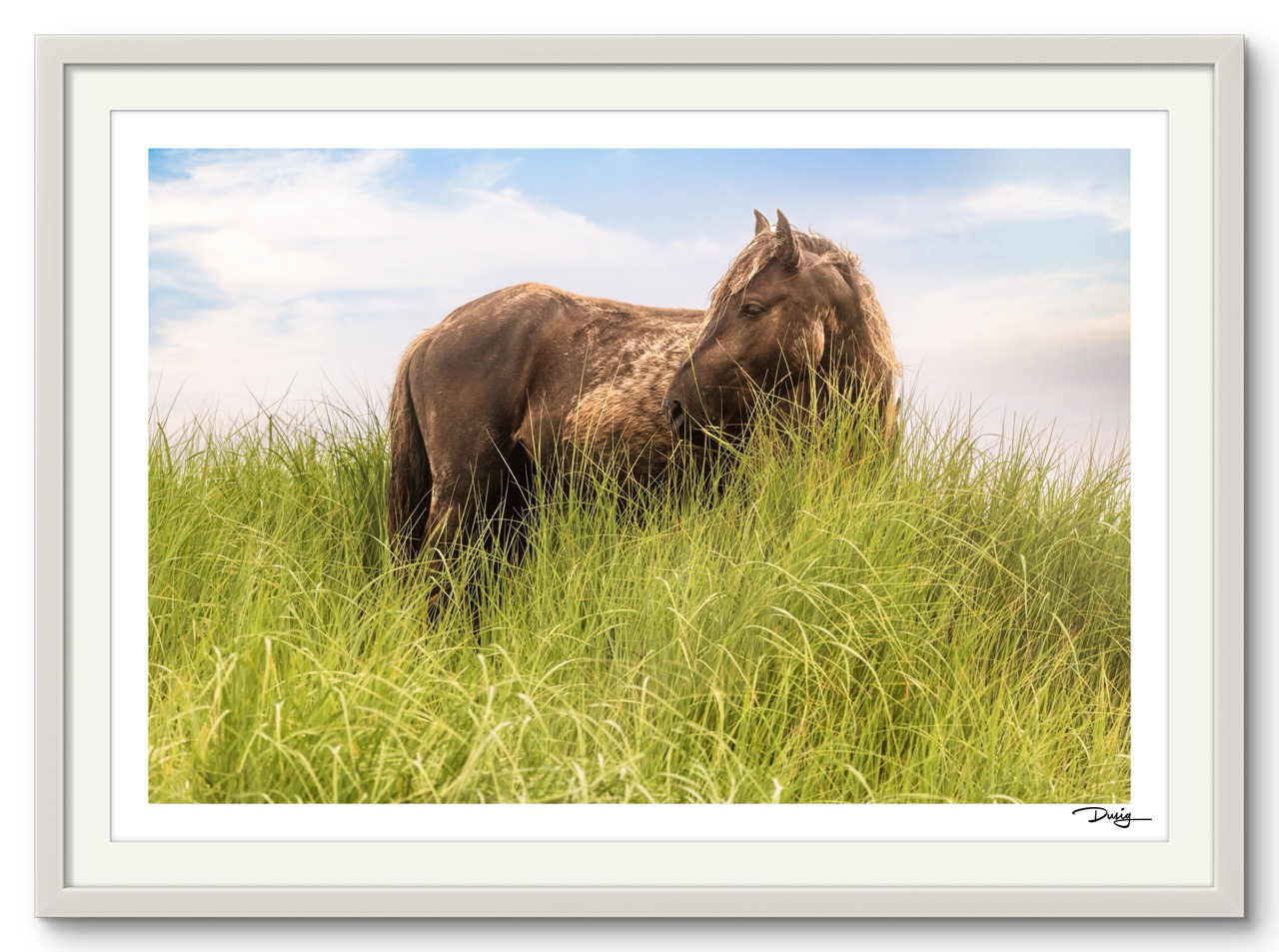 Sea Grass Sanctuary