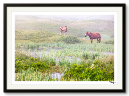 Mist Over the Marsh