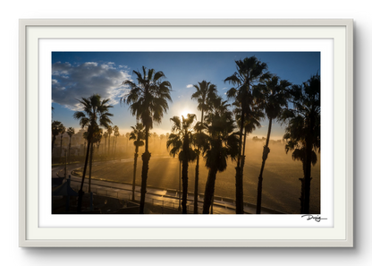 Golden Morning in Santa Monica