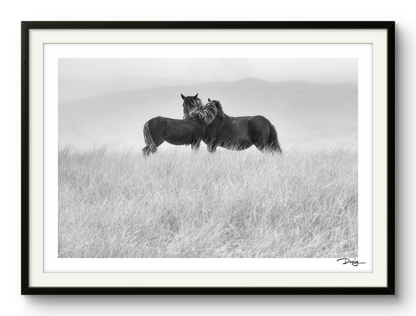 Embrace on the Dunes