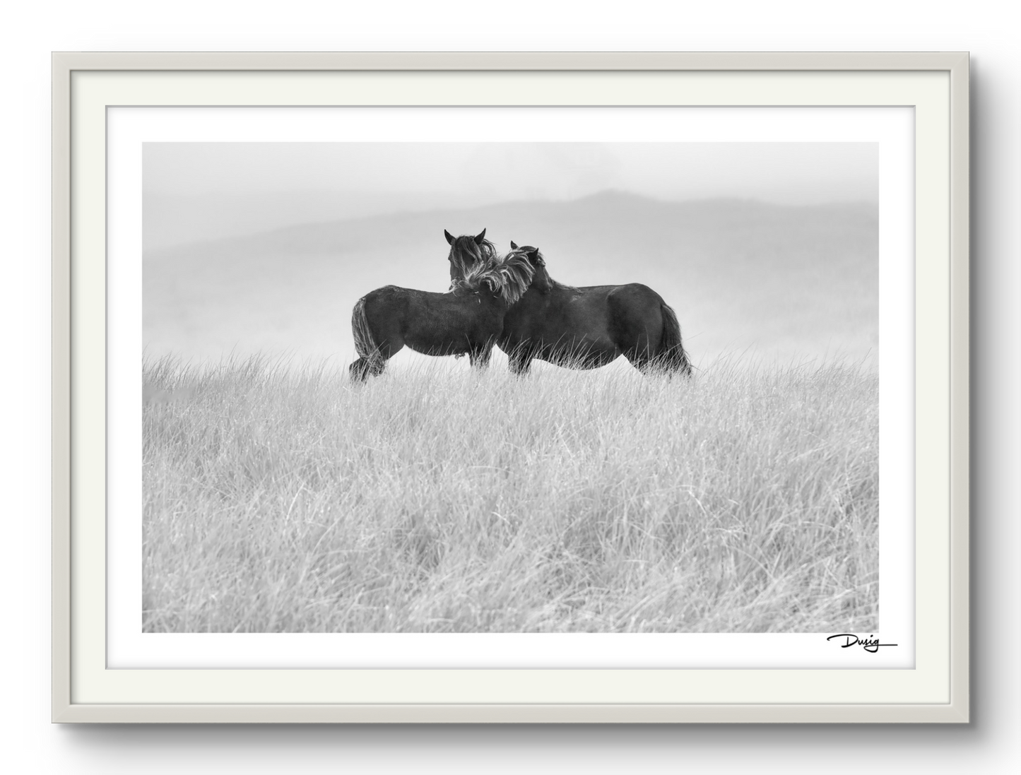 Embrace on the Dunes