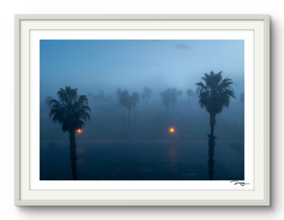 Veiled Beginnings in Santa Monica