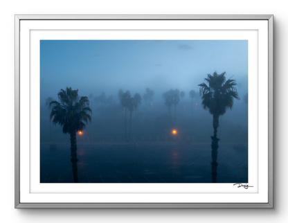 Veiled Beginnings in Santa Monica