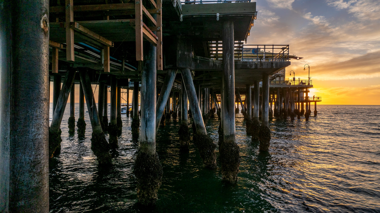 Beneath the Santa Monica Pier