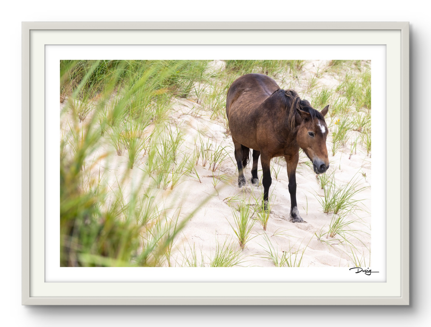 Wandering the Dunes