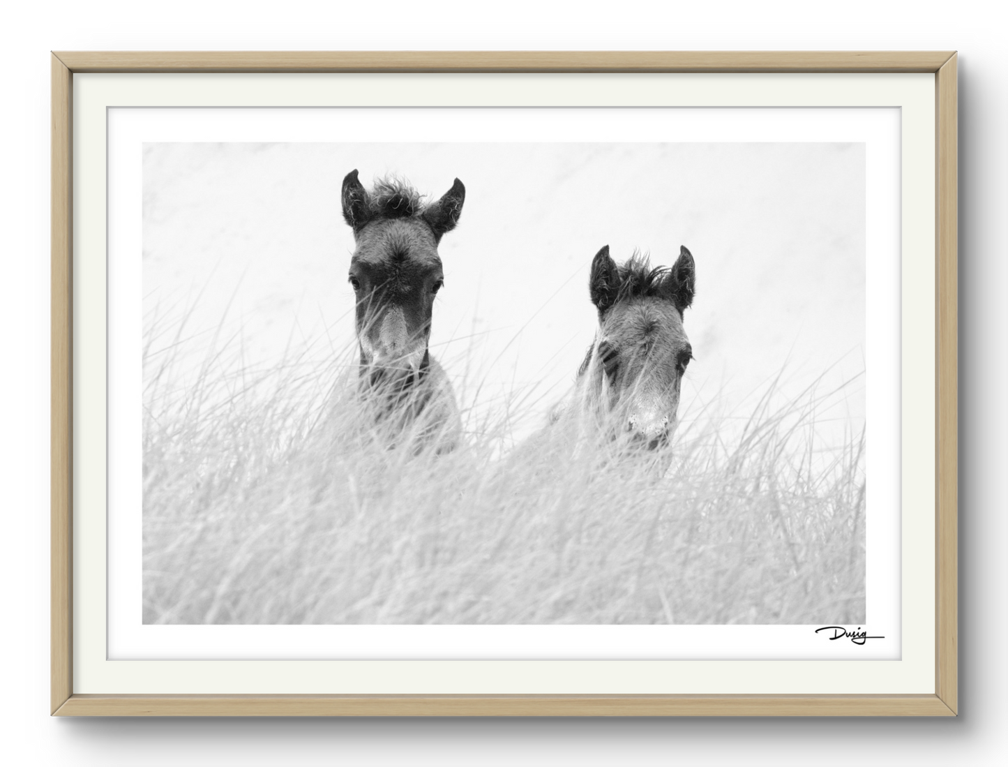 Innocence in the Dunes