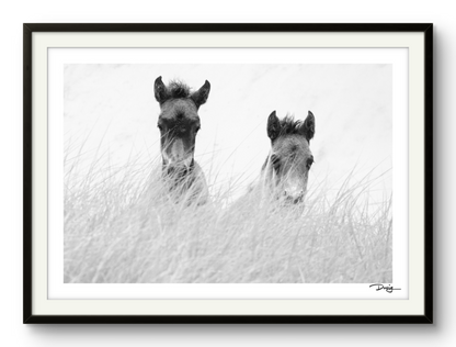 Innocence in the Dunes