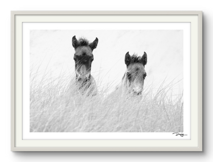 Innocence in the Dunes