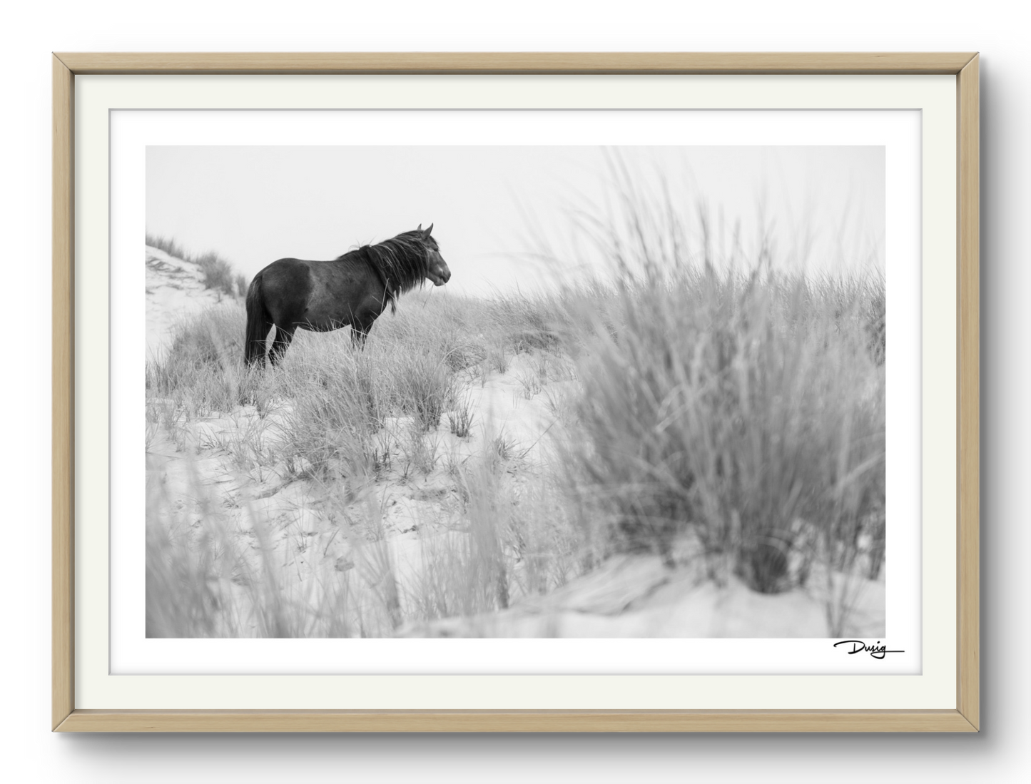 Wanderer of the Dunes