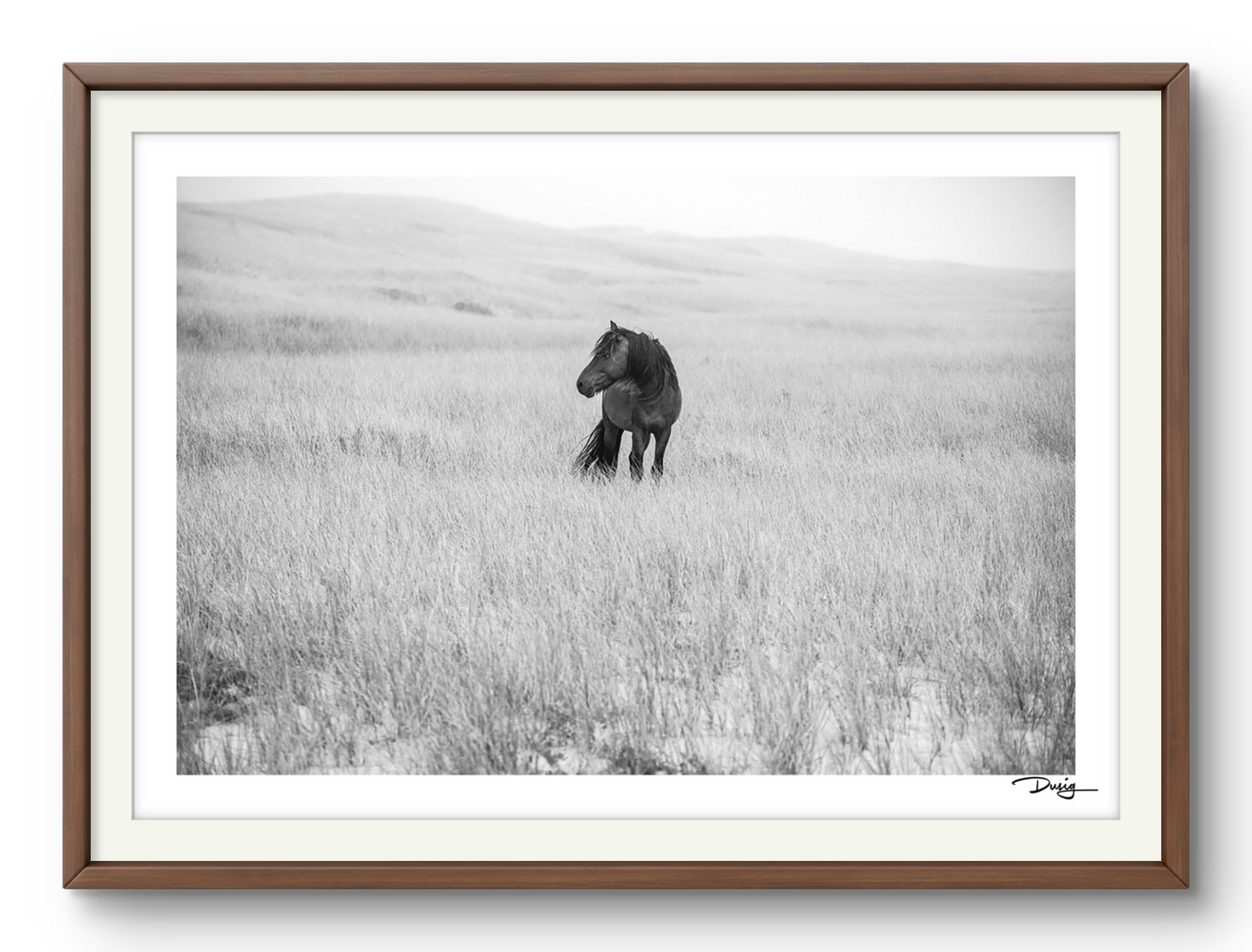 Lone in the Landscape