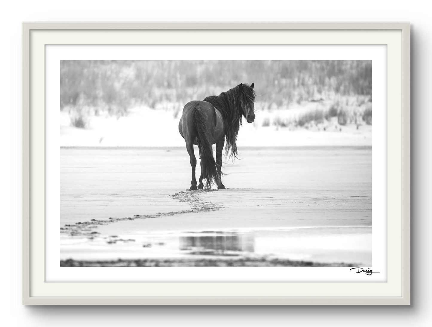 Footprints in Solitude