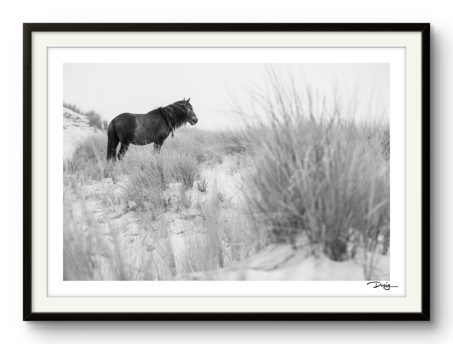 Wanderer of the Dunes