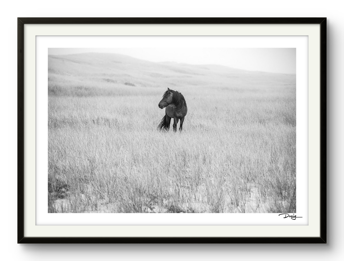 Lone in the Landscape